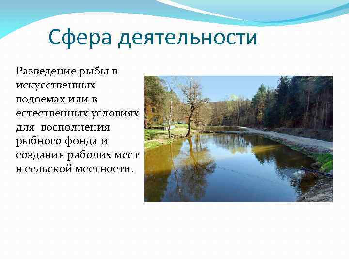 Сфера деятельности Разведение рыбы в искусственных водоемах или в естественных условиях для восполнения рыбного