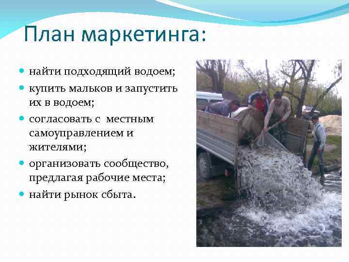 План маркетинга: найти подходящий водоем; купить мальков и запустить их в водоем; согласовать с