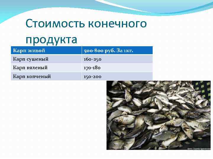 Стоимость конечного продукта Карп живой 500 -800 руб. За 1 кг. Карп сушеный 160