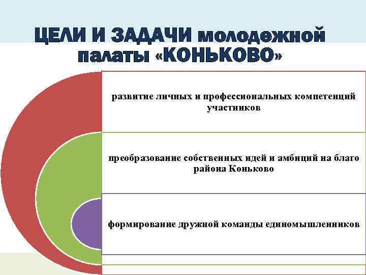 Компетенций участников. Цели и задачи молодежи. Молодежная политика задачи. Цели и задачи молодежной политики. Цели и задачи молодежной палаты.