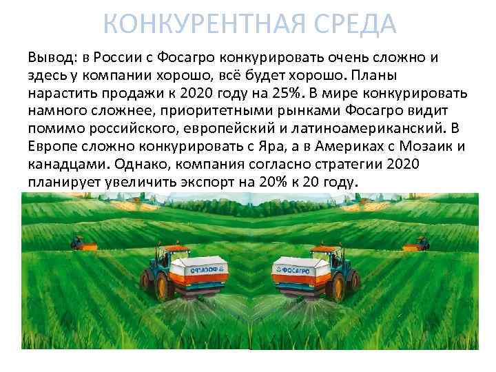 КОНКУРЕНТНАЯ СРЕДА Вывод: в России с Фосагро конкурировать очень сложно и здесь у компании