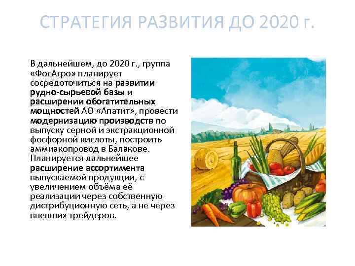 СТРАТЕГИЯ РАЗВИТИЯ ДО 2020 г. В дальнейшем, до 2020 г. , группа «Фос. Агро»