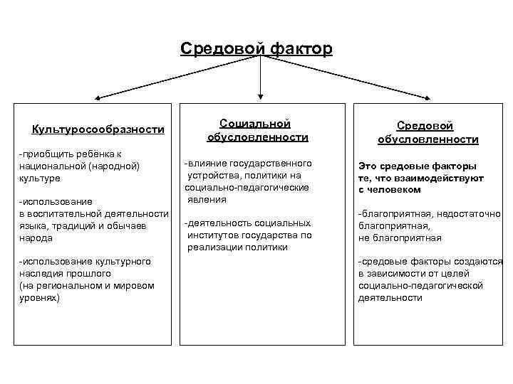 Типология курсовая работа