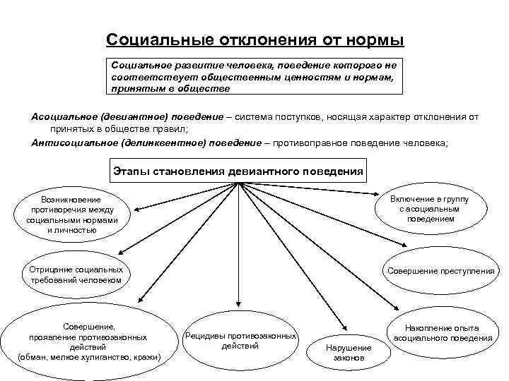 Виды соц норм схема