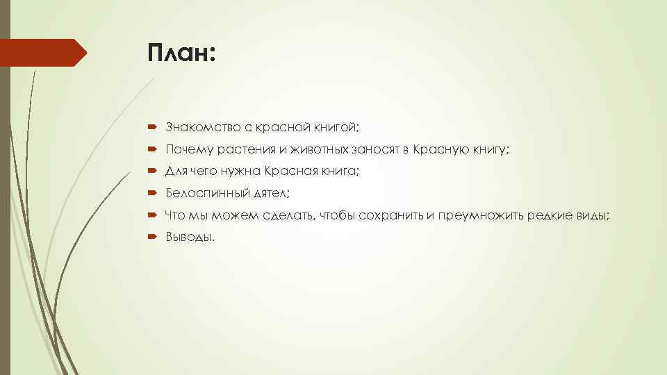 План: Знакомство с красной книгой; Почему растения и животных заносят в Красную книгу; Для