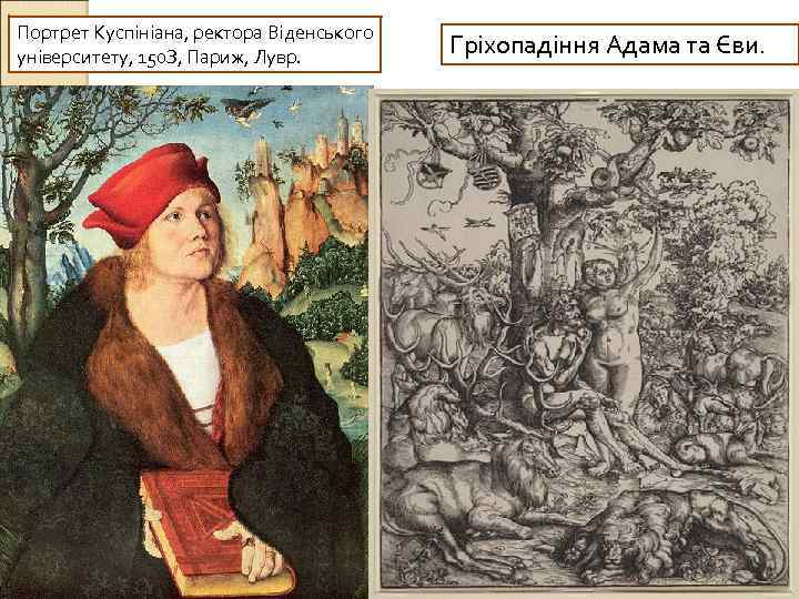 Портрет Куспініана, ректора Віденського університету, 150 З, Париж, Лувр. Гріхопадіння Адама та Єви. 