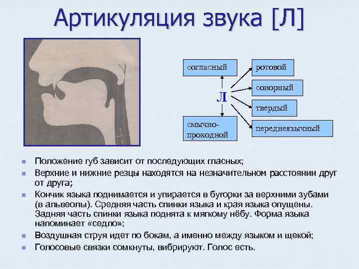 Артикуляция звука [Л] согласный Л смычнопроходной n n n ротовой сонорный твердый переднеязычный Положение