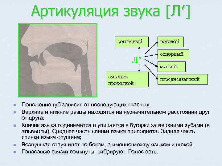 Артикуляция звука [Л′] согласный Л’ смычнопроходной n n n ротовой сонорный мягкий переднеязычный Положение