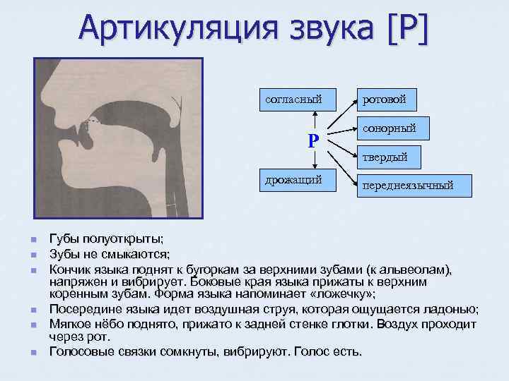 Артикуляция звука [P] согласный Р дрожащий n n n ротовой сонорный твердый переднеязычный Губы