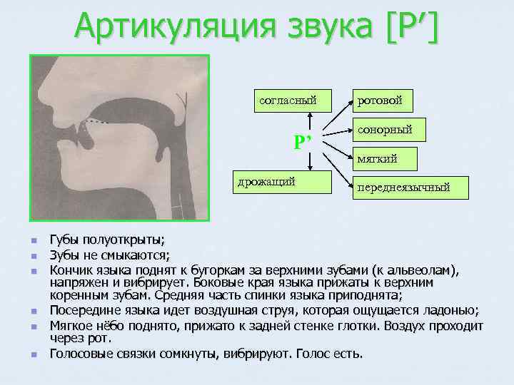 Артикуляция звука л в картинках для детей