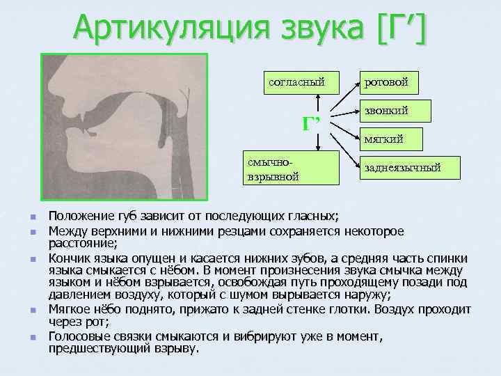 Артикуляция звука [Г′] согласный Г’ смычновзрывной n n n ротовой звонкий мягкий заднеязычный Положение