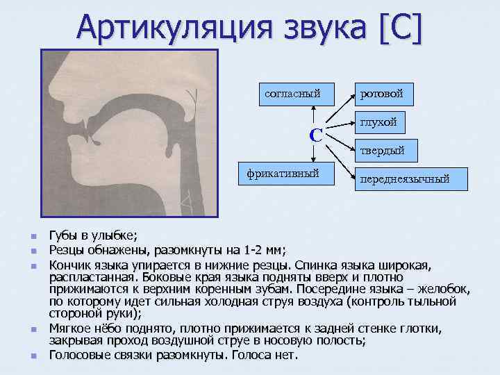 Артикуляция звука [С] согласный С фрикативный n n n ротовой глухой твердый переднеязычный Губы