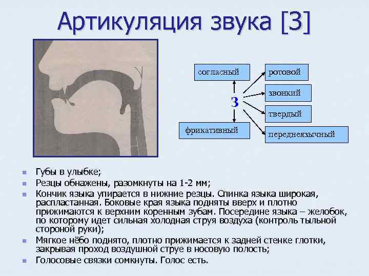 Артикуляция звука [З] согласный З фрикативный n n n ротовой звонкий твердый переднеязычный Губы