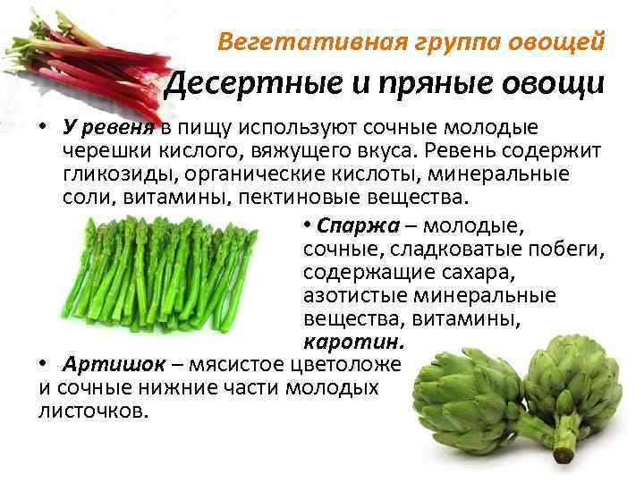 Овощ используют для приготовления. Ревень спаржа артишок. Классификация салатно шпинатных овощей. Пищевая ценность пряных овощей. Спаржа ревень артишок относятся к группе.