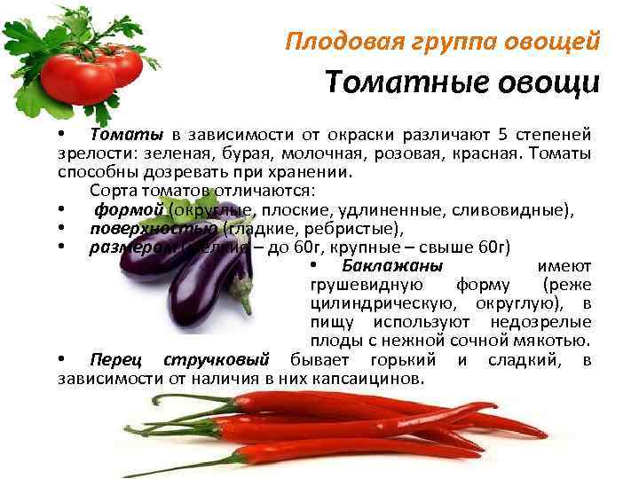 Баклажаны относятся к группе. Стручковый перец относится к группе _________ группе овощей. Ассортимент томатных овощей. Томатные овощи классификация. Характеристика томатных овощей.