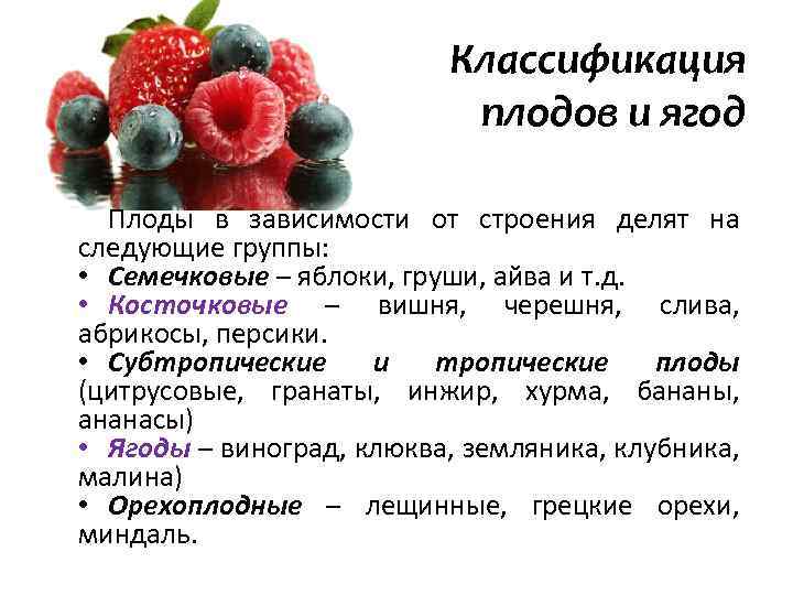Ягодка характеристика. Классификация фруктов и ягод. Классификация ягодных культур. Классификация плодовых и ягодных культур. Классификация свежих плодов и ягод.