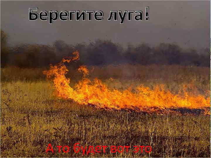 Берегите луга! А то будет вот это 