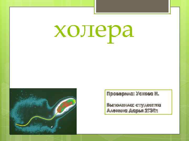 холера Проверила: Ускова Н. Выполнила: студентка Аленина Дарья 2 ТЭТп 