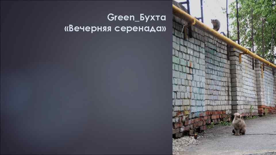 Green_Бухта «Вечерняя серенада» 