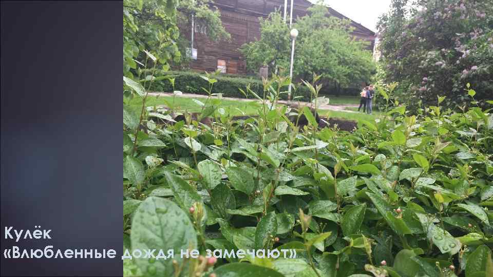 Кулёк «Влюбленные дождя не замечают» 