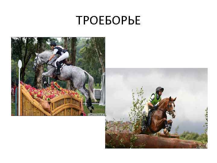 ТРОЕБОРЬЕ 