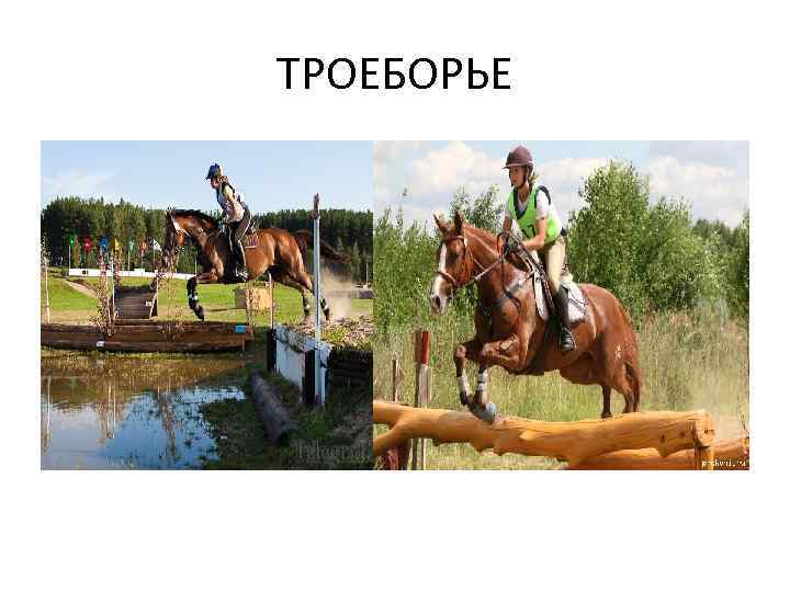 ТРОЕБОРЬЕ 