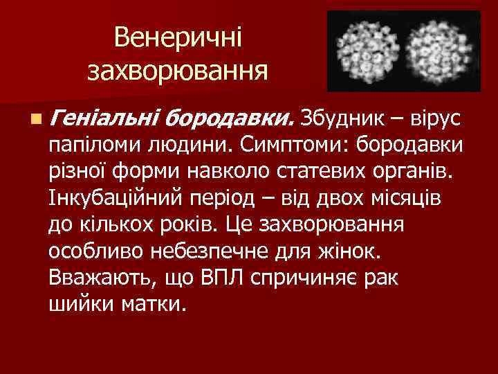 Венеричні захворювання n Геніальні бородавки. Збудник – вірус папіломи людини. Симптоми: бородавки різної форми