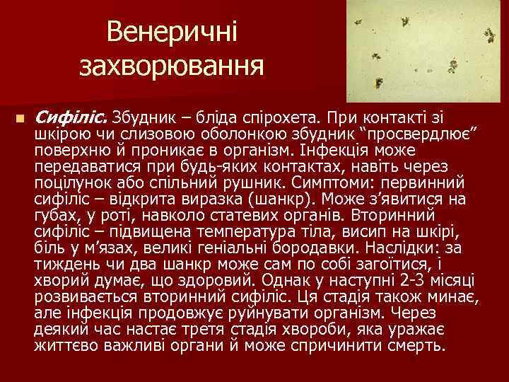 Венеричні захворювання n Сифіліс. Збудник – бліда спірохета. При контакті зі шкірою чи слизовою