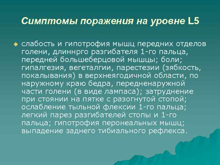 Симптомы поражения на уровне L 5 u слабость и гипотрофия мышц передних отделов голени,