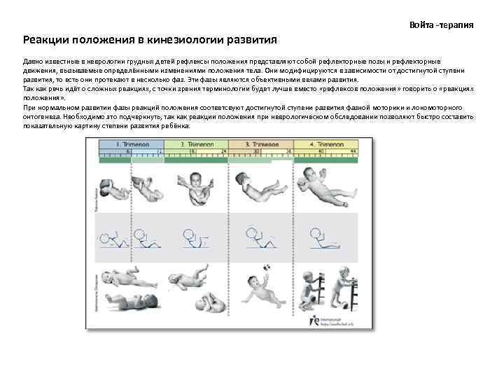 Войта -терапия Реакции положения в кинезиологии развития Давно известные в неврологии грудных детей рефлексы