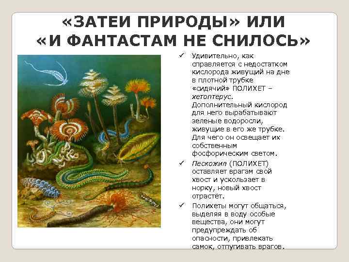  «ЗАТЕИ ПРИРОДЫ» ИЛИ «И ФАНТАСТАМ НЕ СНИЛОСЬ» ü ü ü Удивительно, как справляется