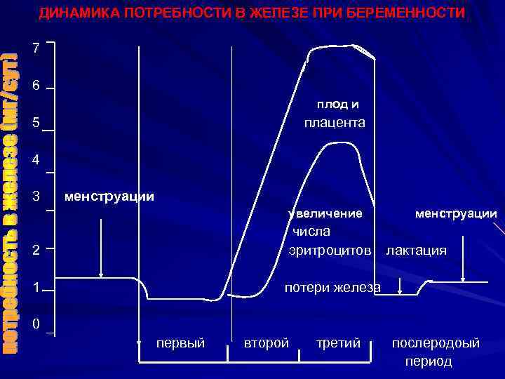 ДИНАМИКА ПОТРЕБНОСТИ В ЖЕЛЕЗЕ ПРИ БЕРЕМЕННОСТИ 7 6 плод и 5 плацента 4 3