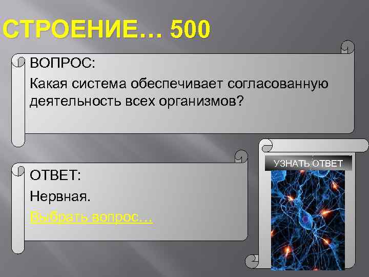 Какая система обеспечивает. Какая система обеспечивает согласованную. Согласованную работу всех органов обеспечивают. Какая система отвечает за согласованную работу всех органов. Обеспечивающие системы.