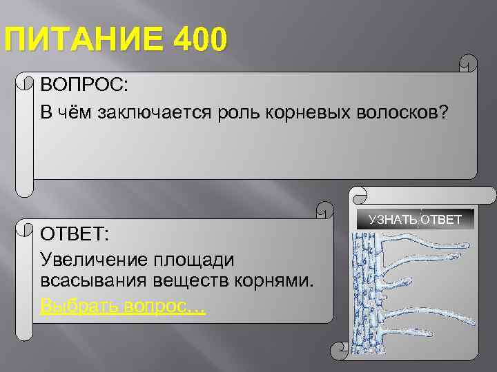 В чем состоит роль. Роль корневых волосков. В чём заключается роль корневых волосков. В чем заключается роль корневых волосков 6 класс. В чем заключается роль корневых волосков что такое Корневое давление.