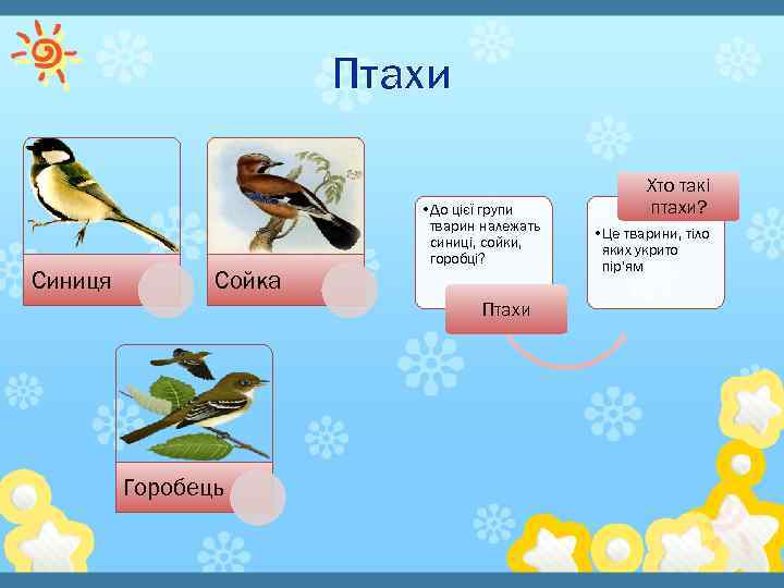 Птахи Синиця Сойка • До цієї групи тварин належать синиці, сойки, горобці? Птахи Горобець