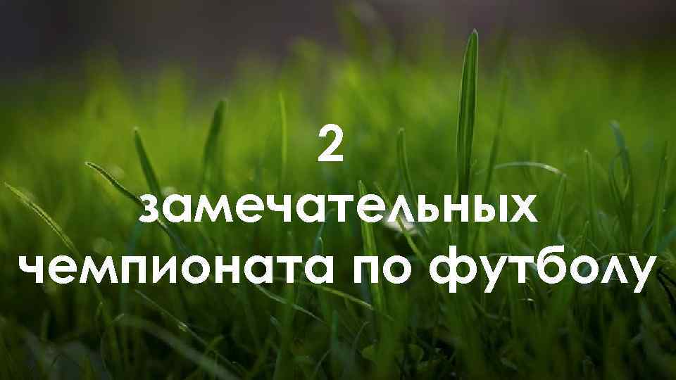 2 замечательных чемпионата по футболу 