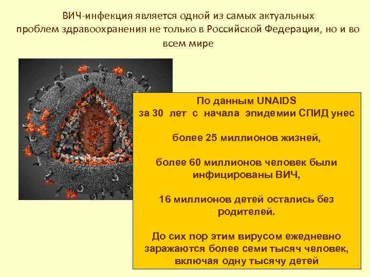 ВИЧ-инфекция является одной из самых актуальных проблем здравоохранения не только в Российской Федерации, но