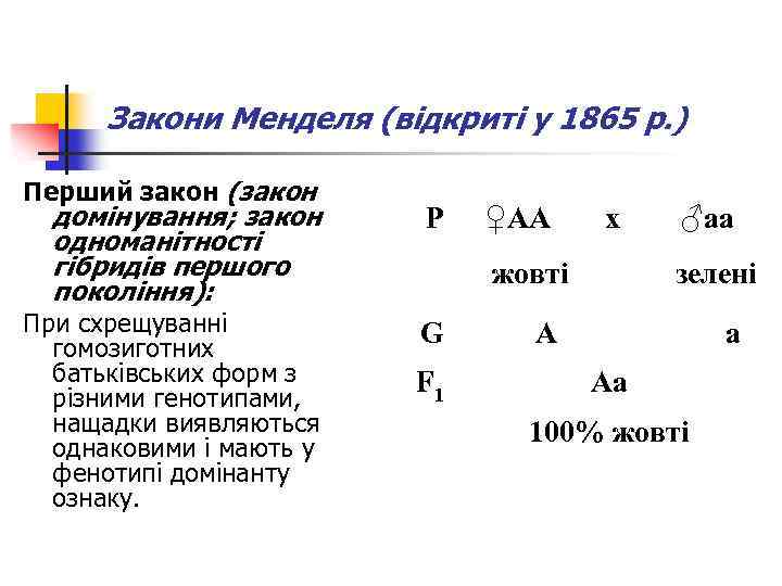 Закони Менделя (відкриті у 1865 р. ) Перший закон (закон домінування; закон одноманітності гібридів