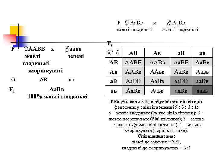 Р ♀ Аа. Вв х жовті гладенькі Р G F 1 ♀ААВВ х ♂аавв