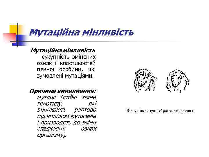 Мутаційна мінливість - сукупність змінених ознак і властивостей певної особини, які зумовлені мутаціями. Причина