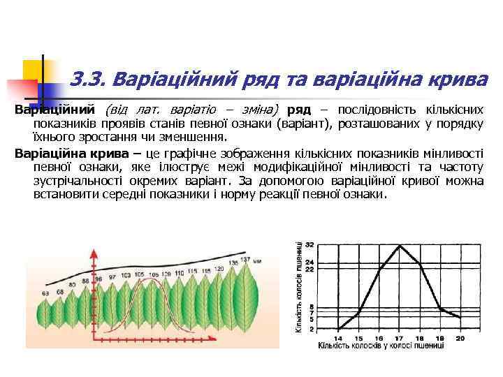 3. 3. Варіаційний ряд та варіаційна крива Варіаційний (від лат. варіатіо – зміна) ряд