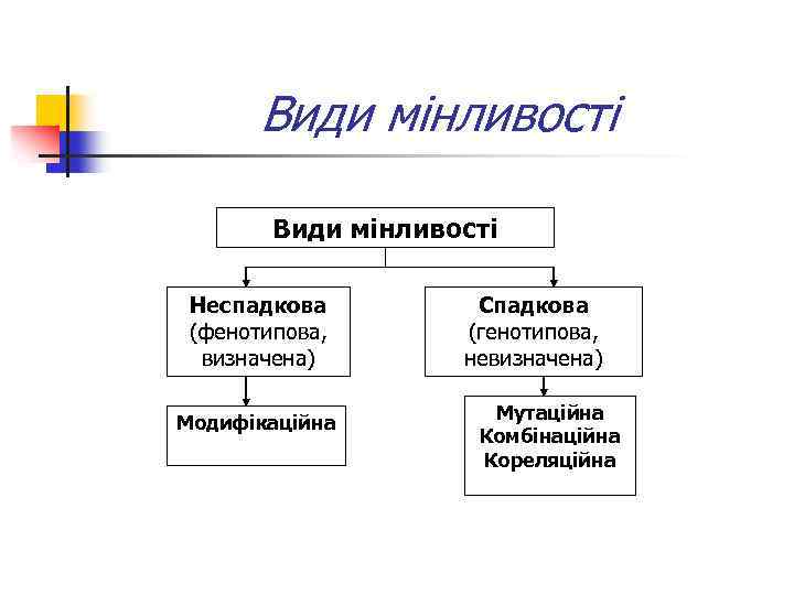 Види мінливості Неспадкова (фенотипова, визначена) Модифікаційна Спадкова (генотипова, невизначена) Мутаційна Комбінаційна Кореляційна 