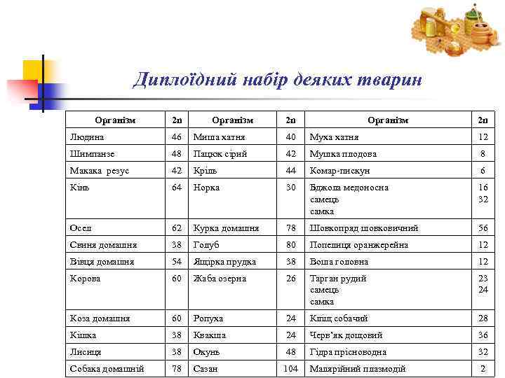 Диплоїдний набір деяких тварин Організм 2 n Людина 46 Миша хатня 40 Муха хатня