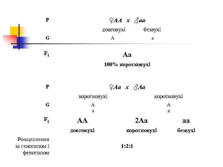P ♀АА х ♂аа довговухі безвухі А а G F 1 Аа 100% коротковухі