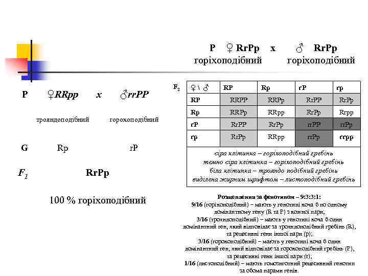 P ♀ Rr. Pp x горіхоподібний P ♀RRpp x ♂rr. PP F 2 ♀