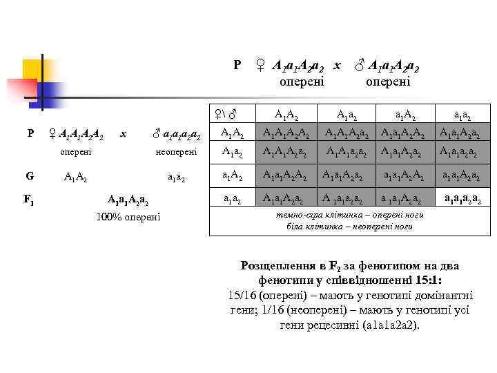 P ♀ ♂ ♀ А 1 а 1 А 2 а 2 x оперені