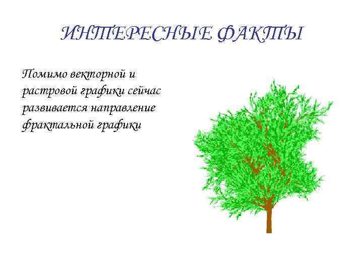 ИНТЕРЕСНЫЕ ФАКТЫ Помимо векторной и растровой графики сейчас развивается направление фрактальной графики 