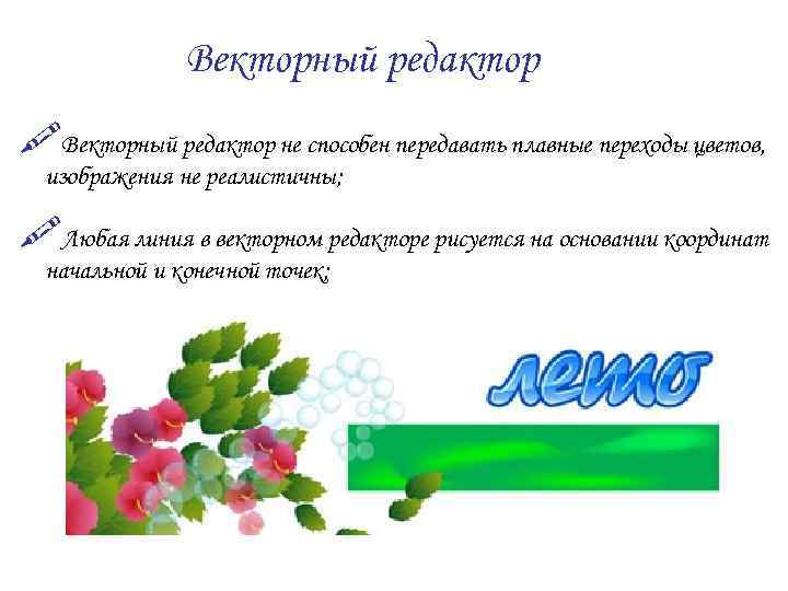 Векторный редактор $Векторный редактор не способен передавать плавные переходы цветов, изображения не реалистичны; $Любая