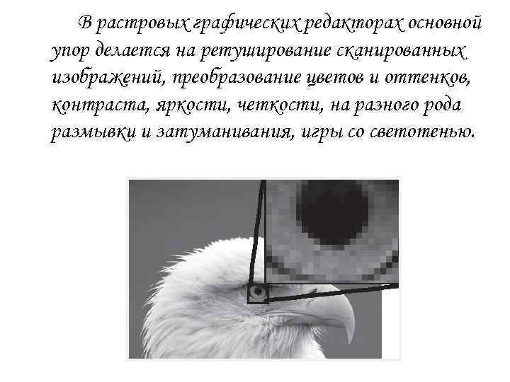 В растровых графических редакторах основной упор делается на ретуширование сканированных изображений, преобразование цветов и