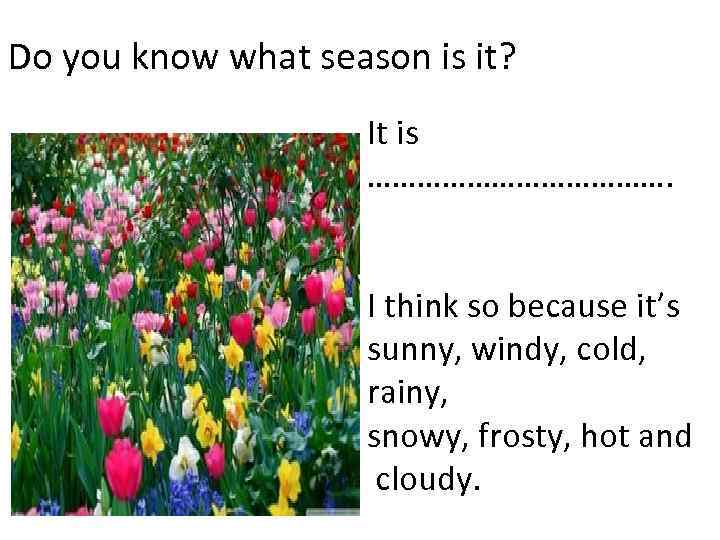 Do you know what season is it? It is ………………. I think so because